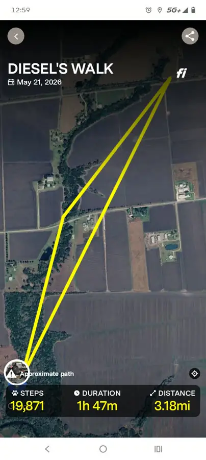 GPS map of Diesel's walk on May 21, 2026