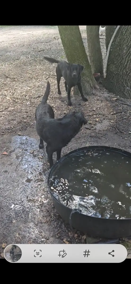 The boys in the shade